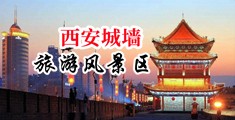 欧美性爱8中国陕西-西安城墙旅游风景区